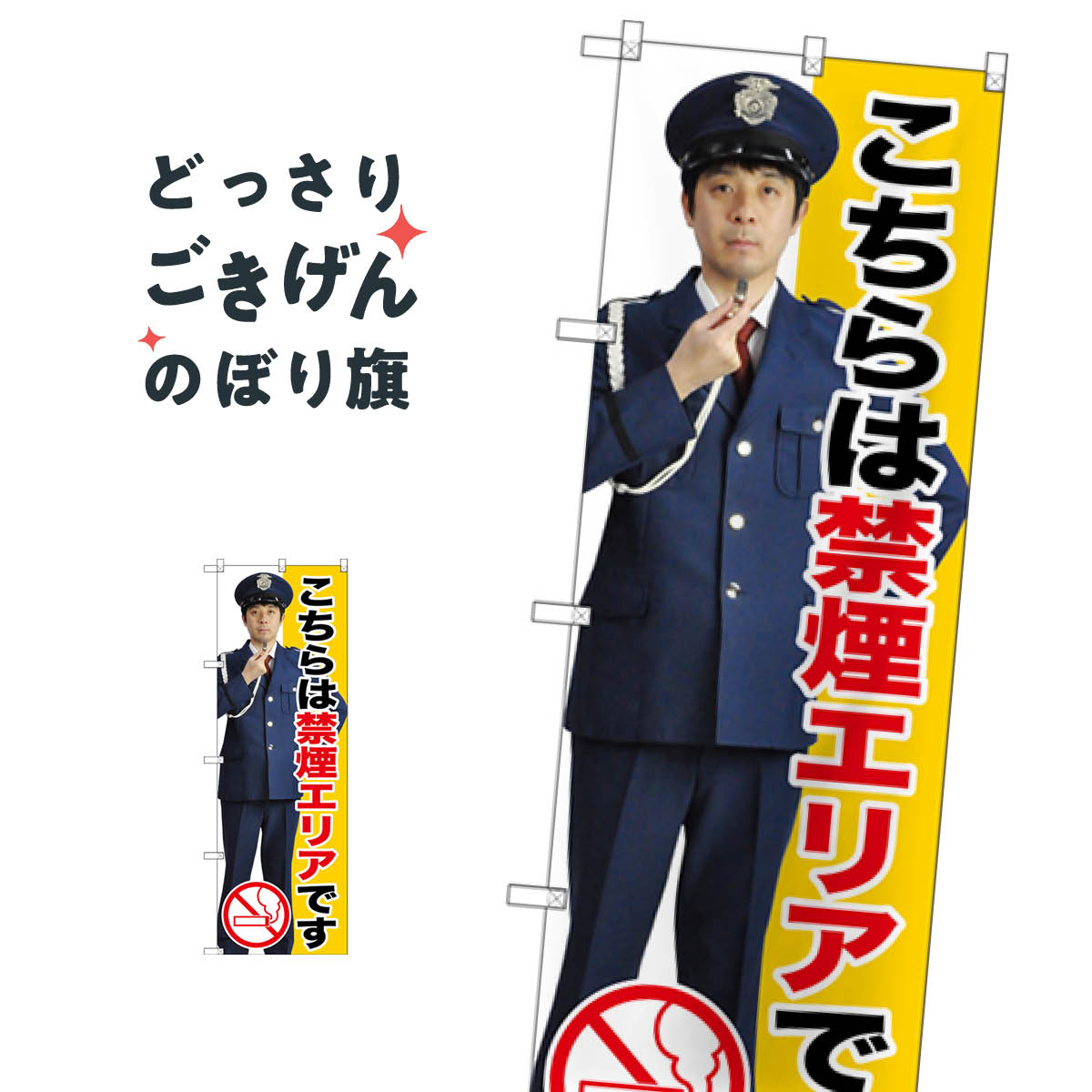 �ر쥨�ꥢ �Τܤ�� GNB-2698 �Ҳ�