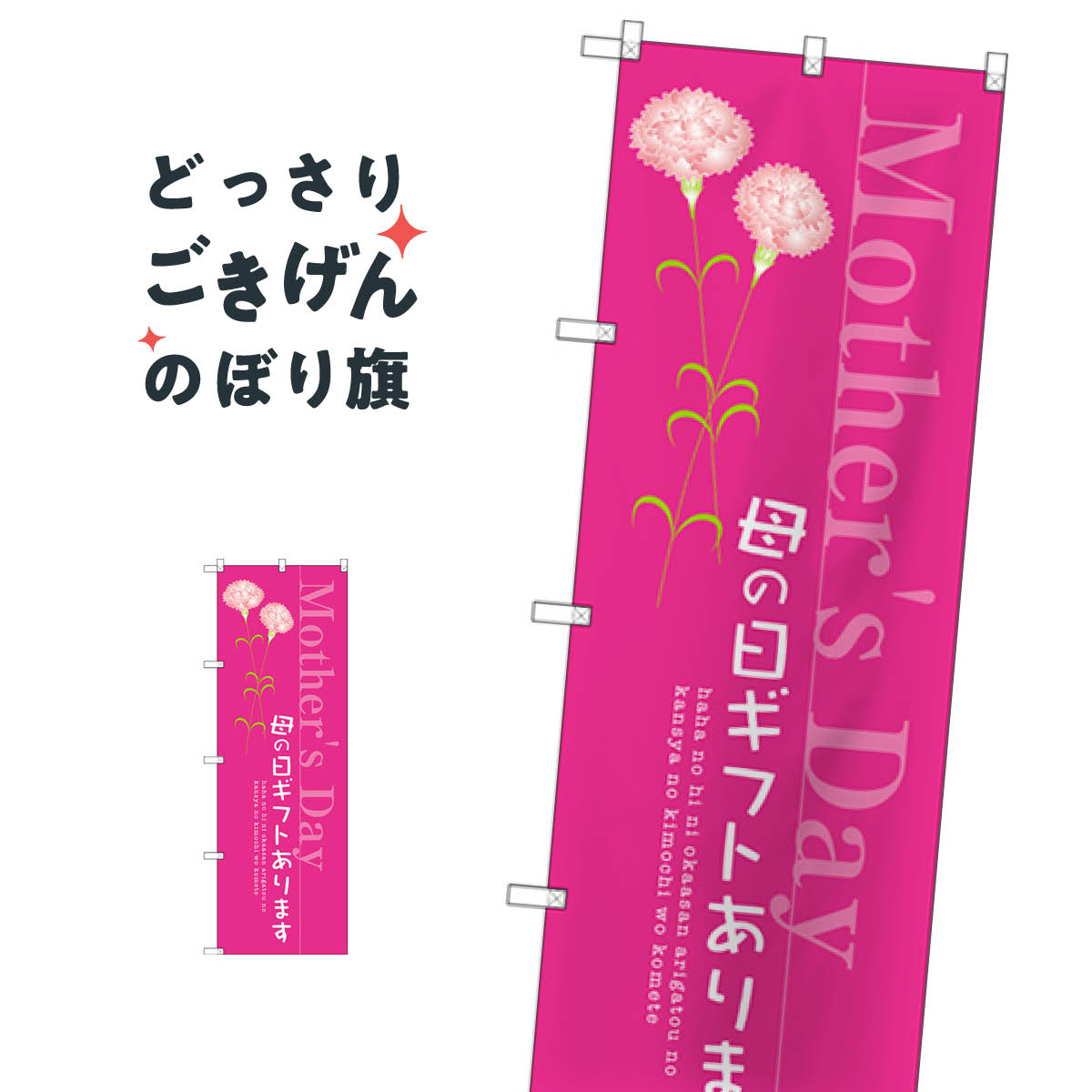 եȤޤ Τܤ SNB-2743 դιԻ