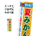 夏みかん のぼり旗 21479 みかん・柑