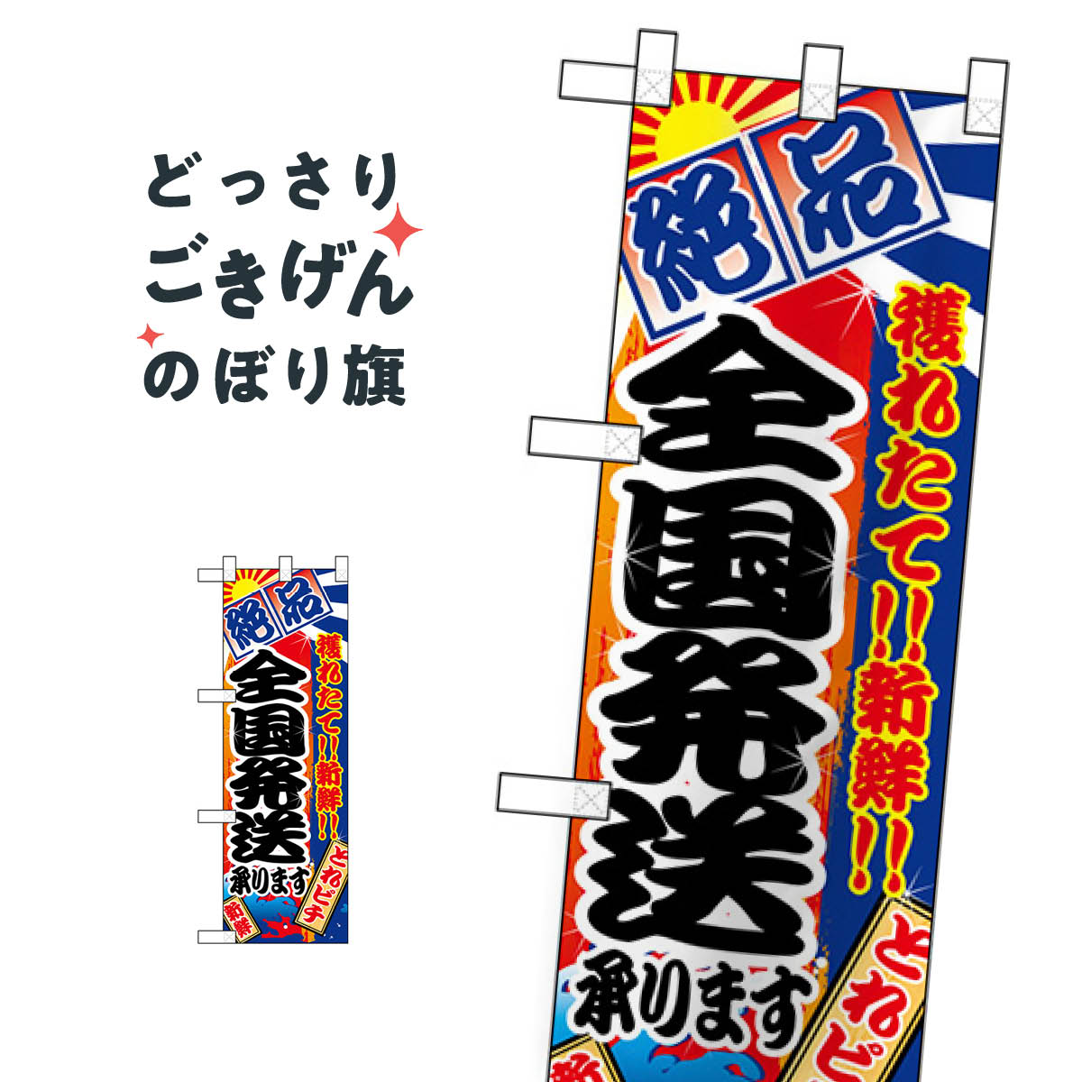 楽天グッズプロハーフサイズ 獲れたて新鮮全国発送承ります のぼり旗 68319 水産物直売