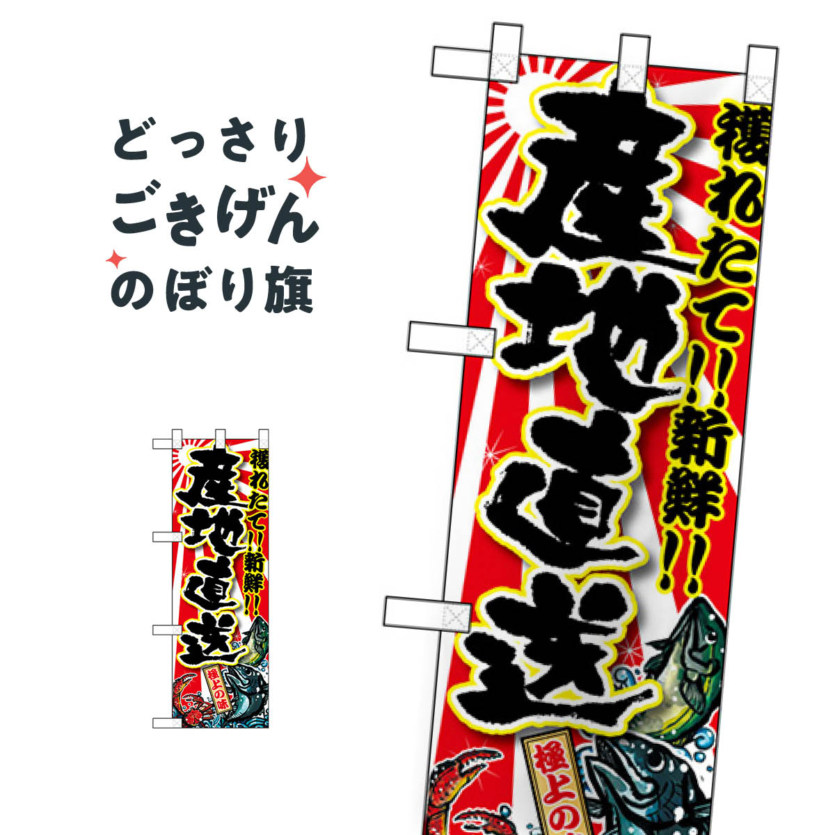 楽天グッズプロハーフサイズ 獲れたて新鮮産地直送 のぼり旗 68345 水産物直売