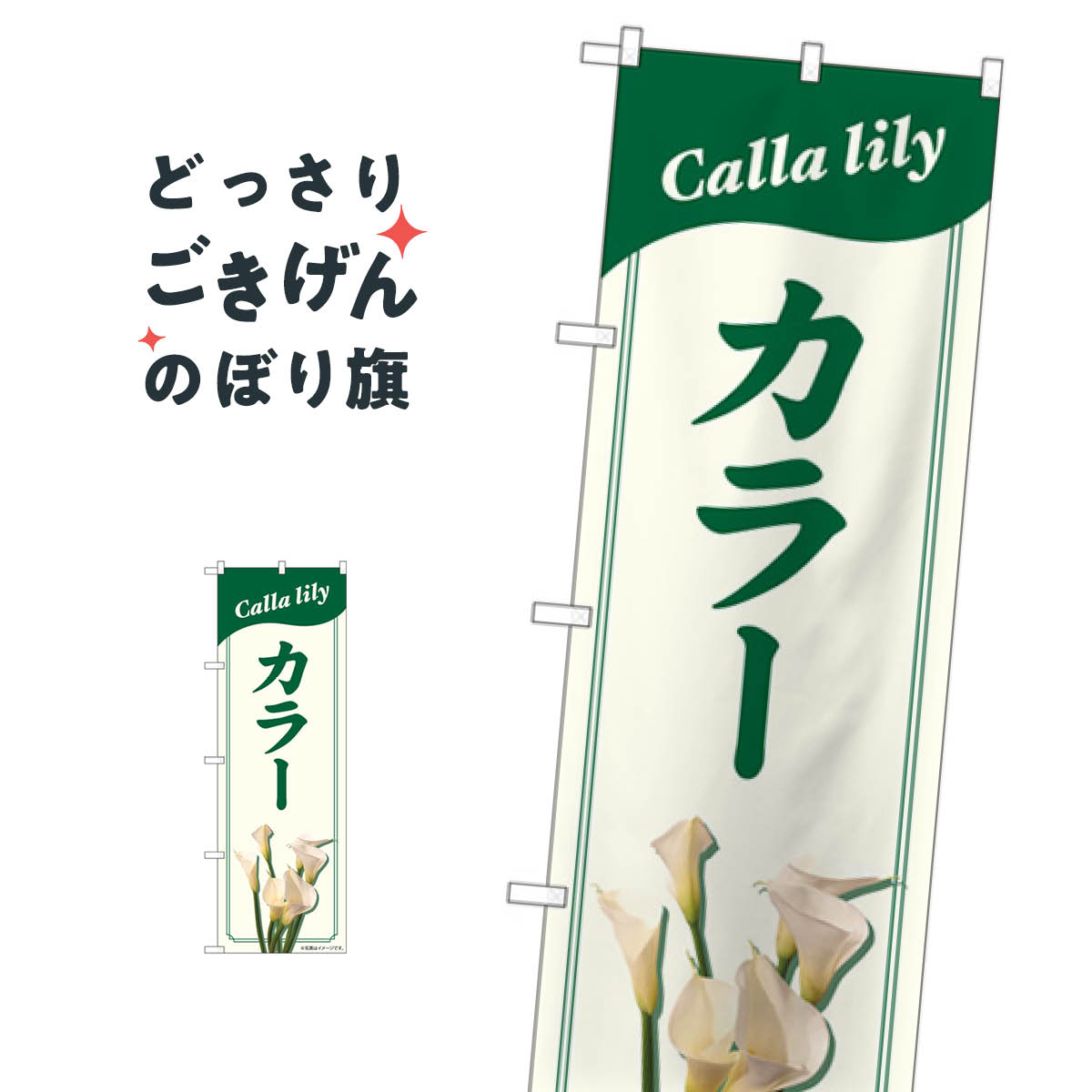 カラーリリー のぼり旗 82704 フラワーショップ