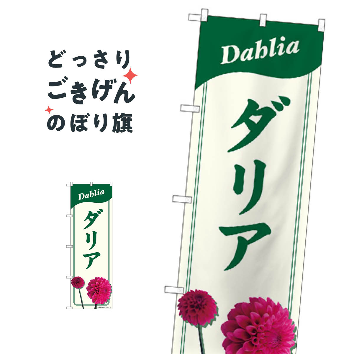 ダリア のぼり旗 82705 フラワーショップ