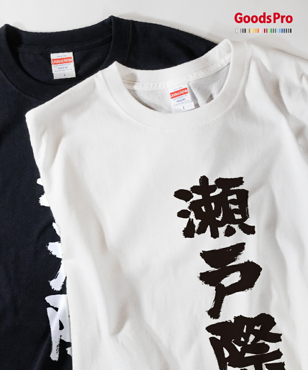 Tシャツ 瀬戸際 発汗性の良い快適素材 ドライTシャツ グッズプロ