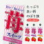 【3980送料無料】 のぼり旗 苺スイーツのぼり