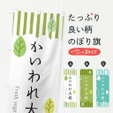 【ネコポス送料360】 のぼり旗 かいわれ大根のぼり TX4U 野菜 グッズプロ 【名入れできます+1017円】
