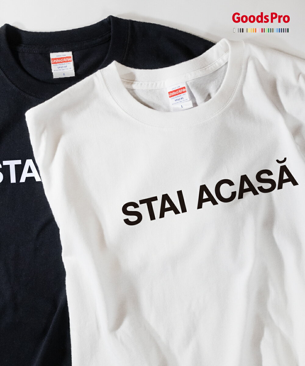Tシャツ STAY HOME Romania 発汗性の良い快適素材 ドライTシャツ グッズプロ