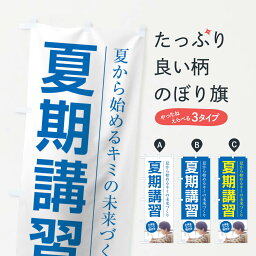 【ネコポス送料360】 のぼり旗 夏期講習のぼり 1GNF グッズプロ