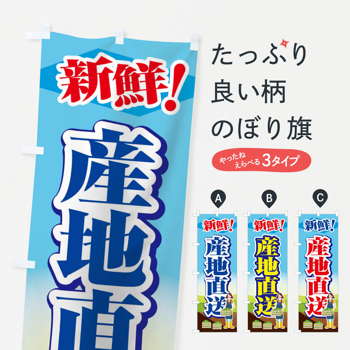 �ڥͥ��ݥ�����360�� �Τܤ�� ����ľ���Τܤ� 1N3A ������� �������� ���å��ץ� ��̾����Ǥ��ޤ�+1017�ߡ�