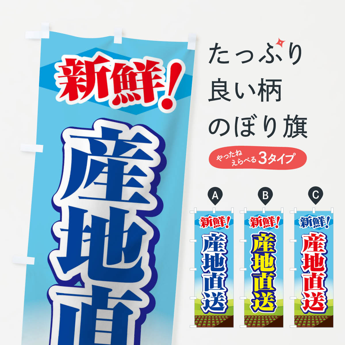 �ڥͥ��ݥ�����360�� �Τܤ�� ����ľ���Τܤ� 1N3N ������� �������� ���å��ץ� ��̾����Ǥ��ޤ�+1017�ߡ�