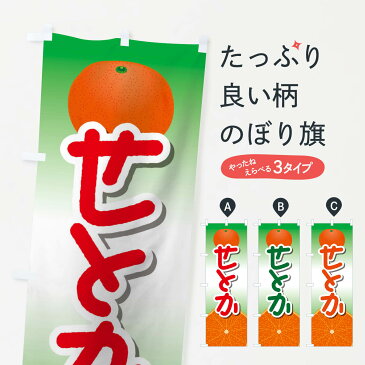 【ネコポス送料360】 のぼり旗 せとかのぼり 218W みかん・柑橘類