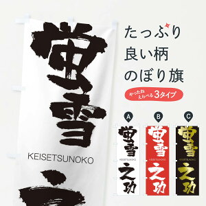 【ネコポス送料360】 のぼり旗 蛍雪之功のぼり 2NNE けいせつのこう KEISETSUNOKO 四字熟語 助演 グッズプロ 【名入れできます+1017円】