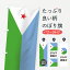 【ネコポス送料360】 のぼり旗 ジブチ国旗スタッフ募集中のぼり 7HPN STAFF募集中 ジブチ共和国 求人 1,298円