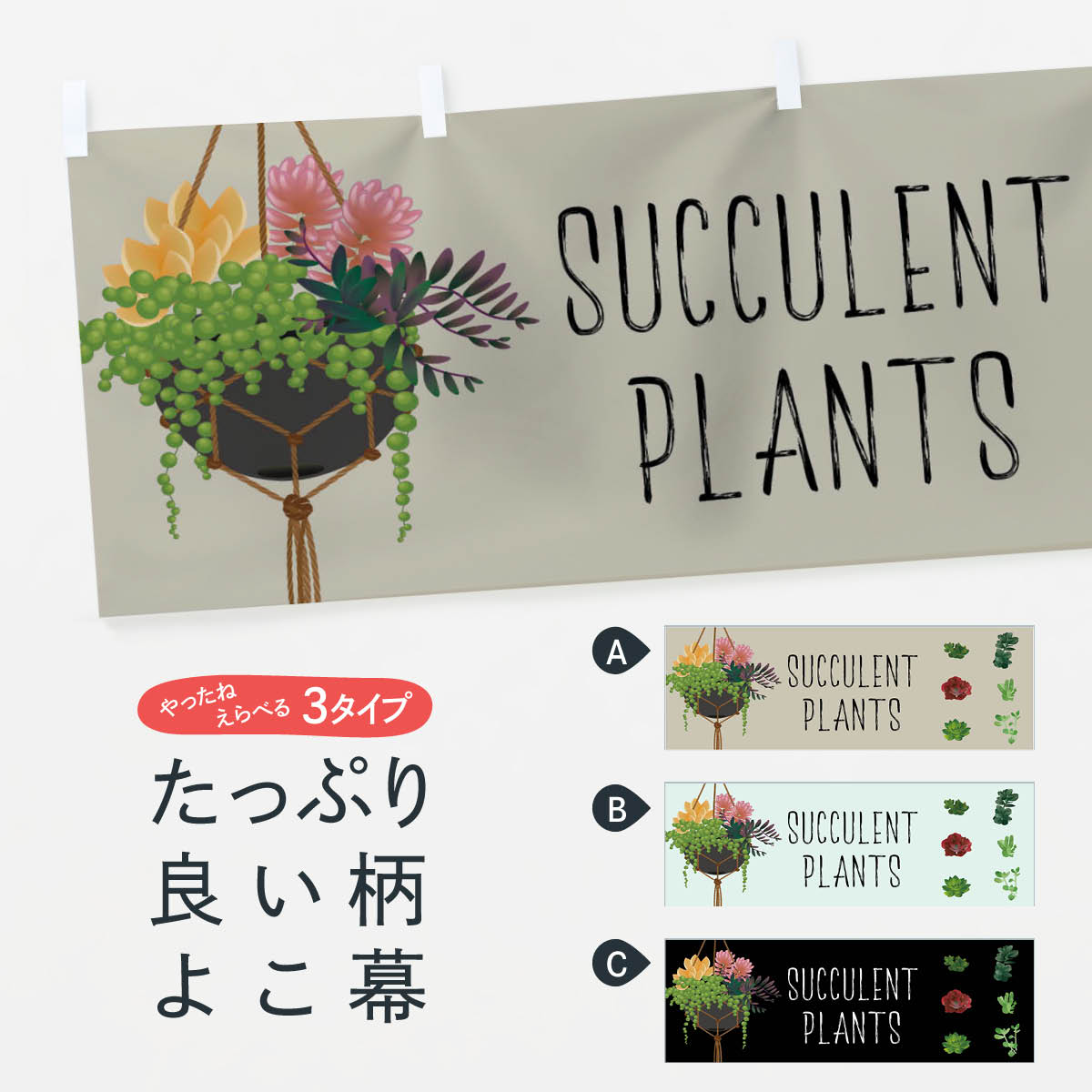 【ネコポス送料360】 横幕 多肉植物 758N SUCCULENT PLANTS