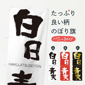 【ネコポス送料360】 のぼり旗 白日青天のぼり 2C41 はくじつせいてん HAKUJITSUSEITEN 四字熟語 助演 グッズプロ