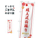 成人式前撮り のぼり旗 GNB-4060 記念撮影