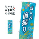成人式前撮り のぼり旗 GNB-4062 記念撮影
