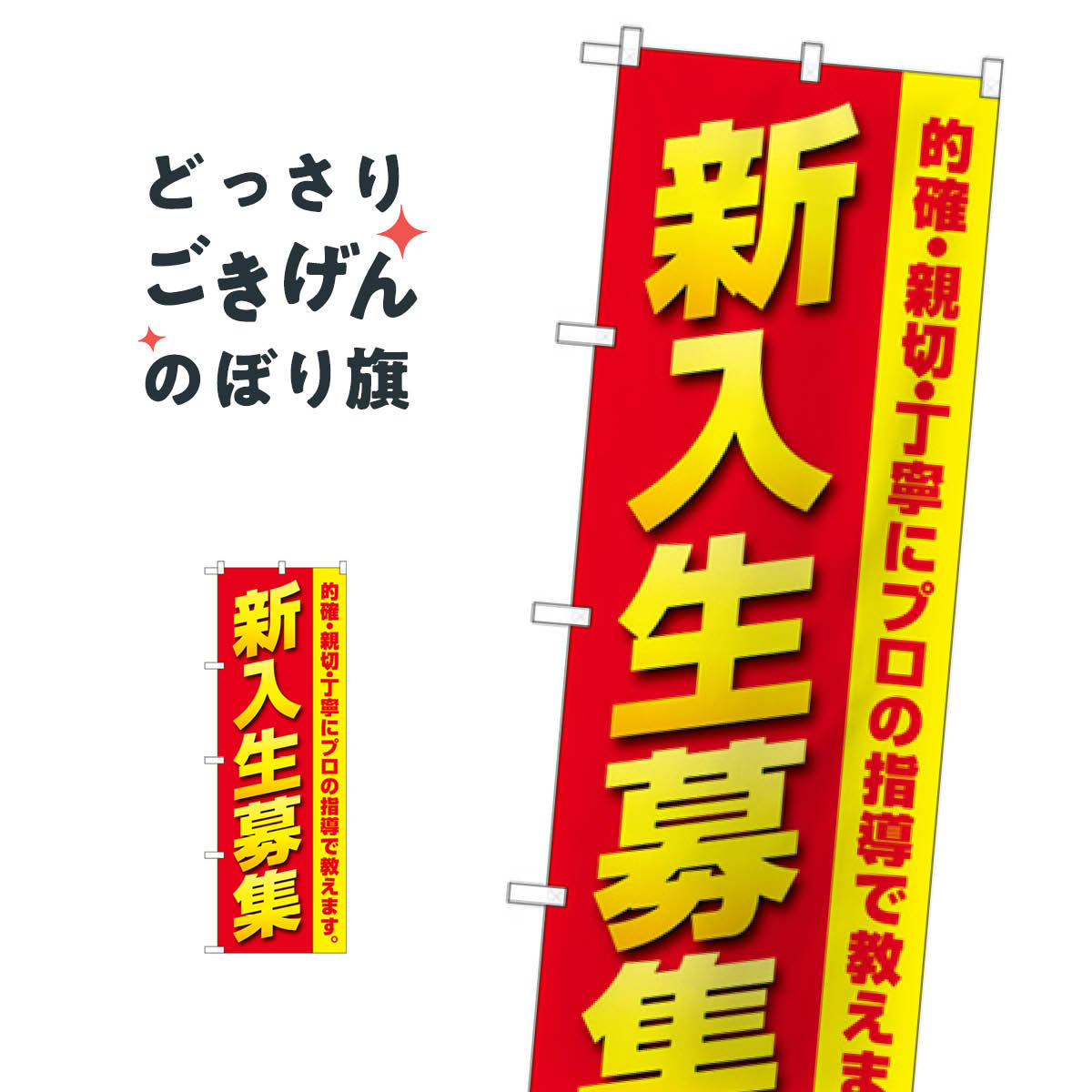 新入生募集 のぼり旗 GNB-4285 プロの指導 生徒募集