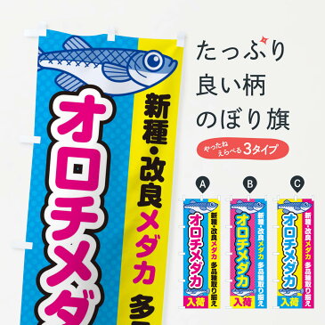 【ネコポス送料360】 のぼり旗 オロチメダカ／入荷／新種・改良メダカのぼり EY6E めだか