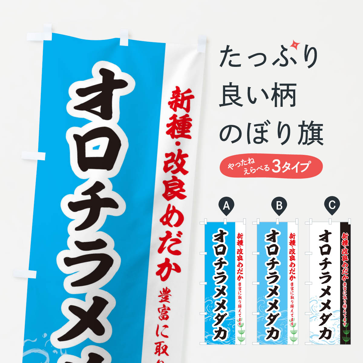  のぼり旗 オロチラメメダカのぼり EUPN めだか めだか新種・改良 グッズプロ