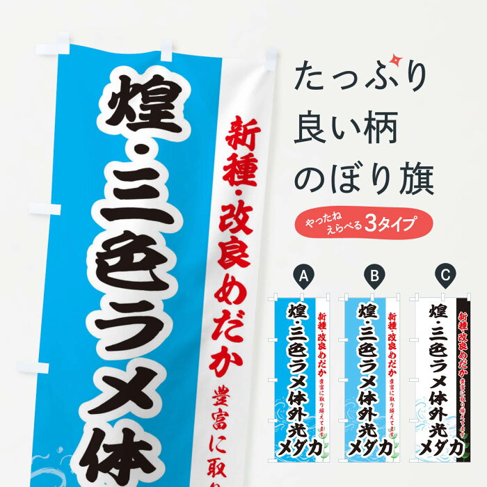 【ネコポス送料360】 のぼり旗 煌・三色ラメ体外光メダカのぼり EFYS めだか 新種・改良めだか