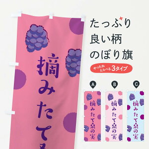 【ネコポス送料360】 のぼり旗 摘みたて桑の実のぼり EN4W マルベリー 果物 グッズプロ