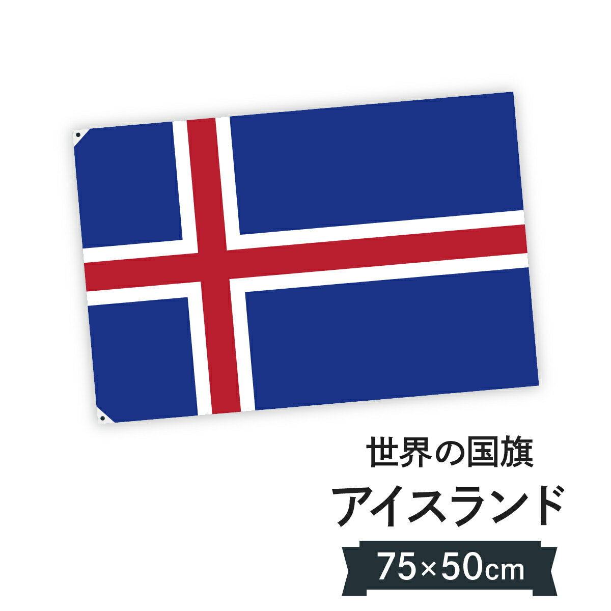 TOSPA 日の丸 日本国旗 木綿 カナキン 70×105cm 日本製