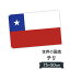 チリ共和国 国旗 W75cm H50cm 2,697円