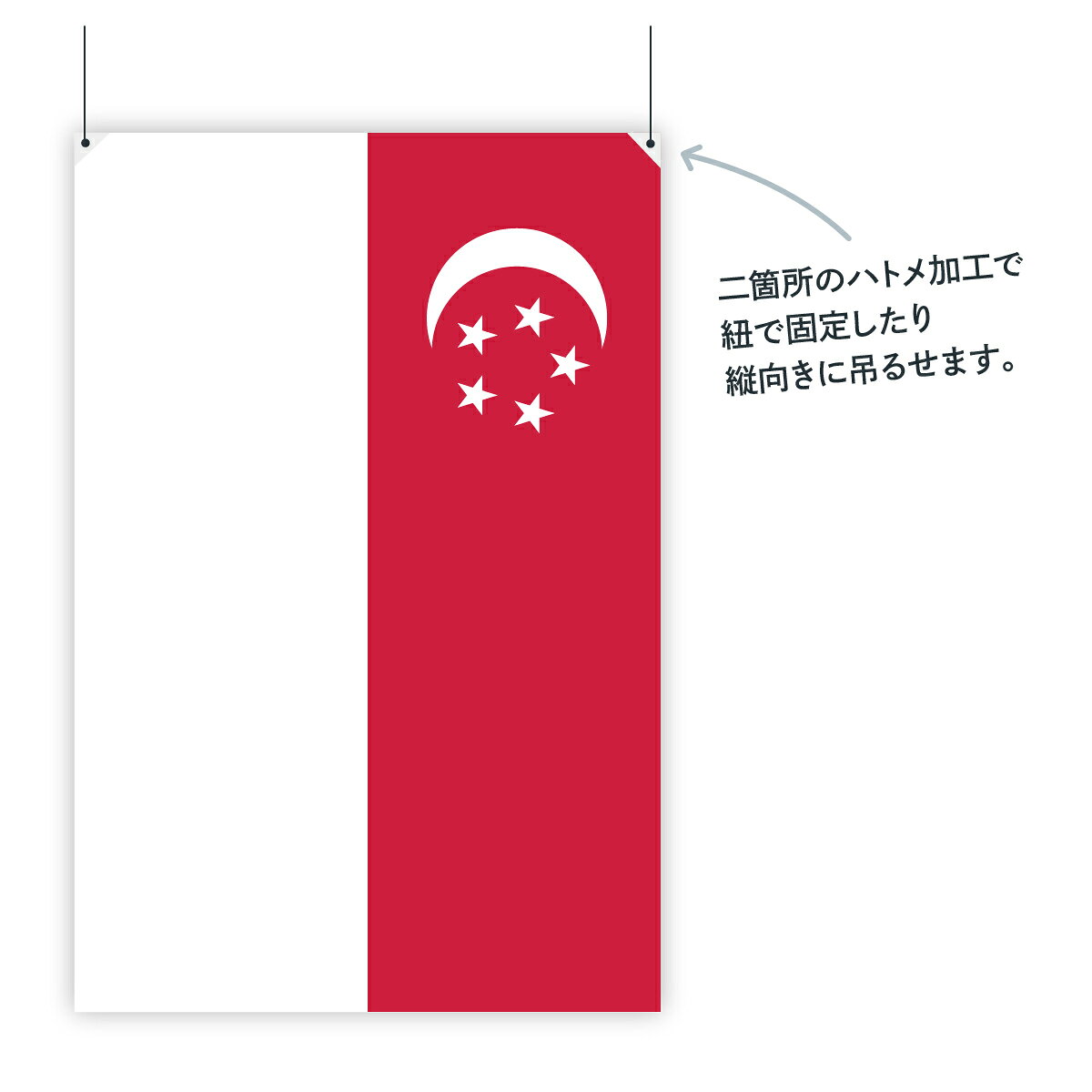 グッズプロのシンガポール共和国 国旗 W75cm H50cm｜アングル2