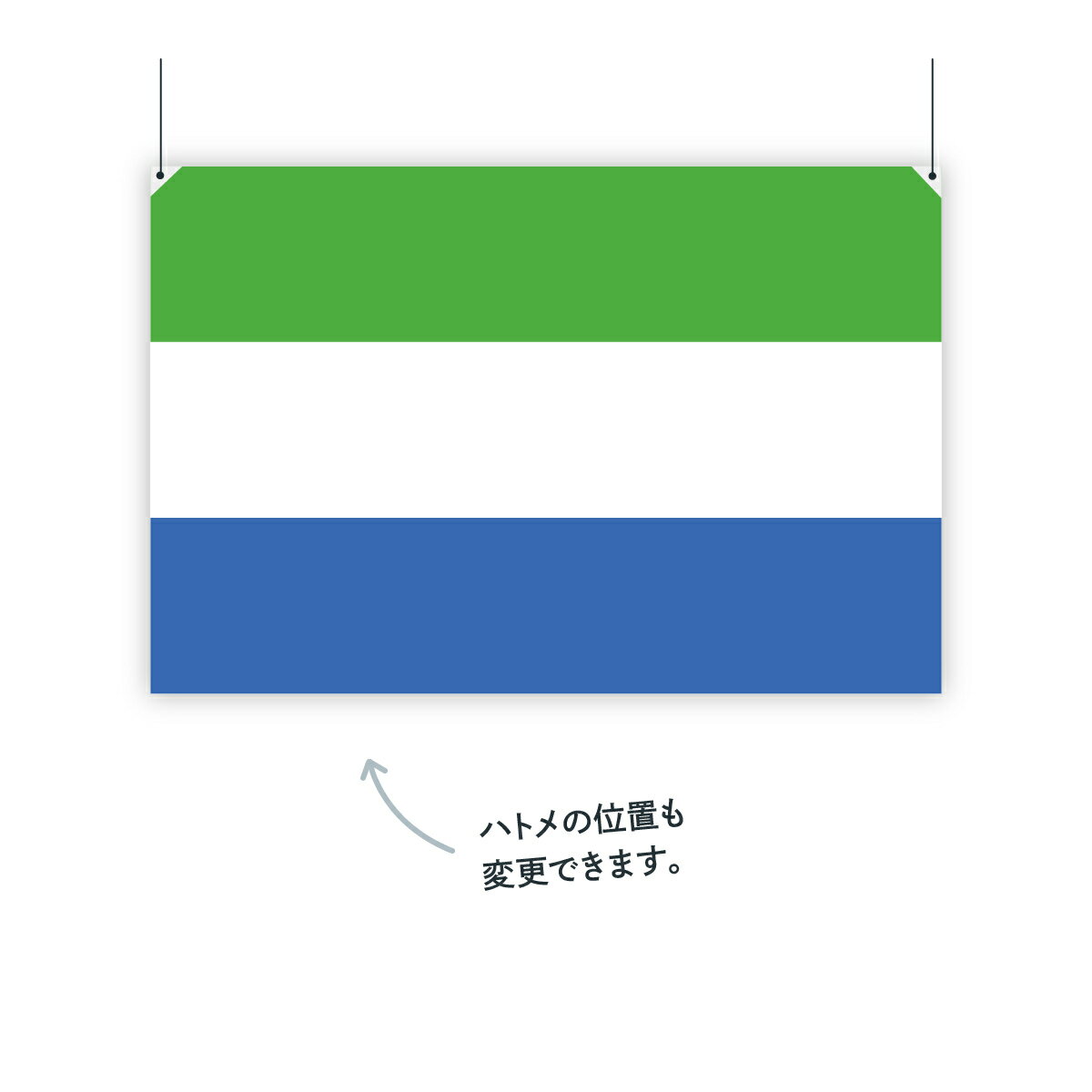 シエラレオネ共和国 国旗 W75cm H50cm 3