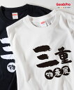 Tシャツ 三重物産展 発汗性の良い快適素材 ドライTシャツ(4)