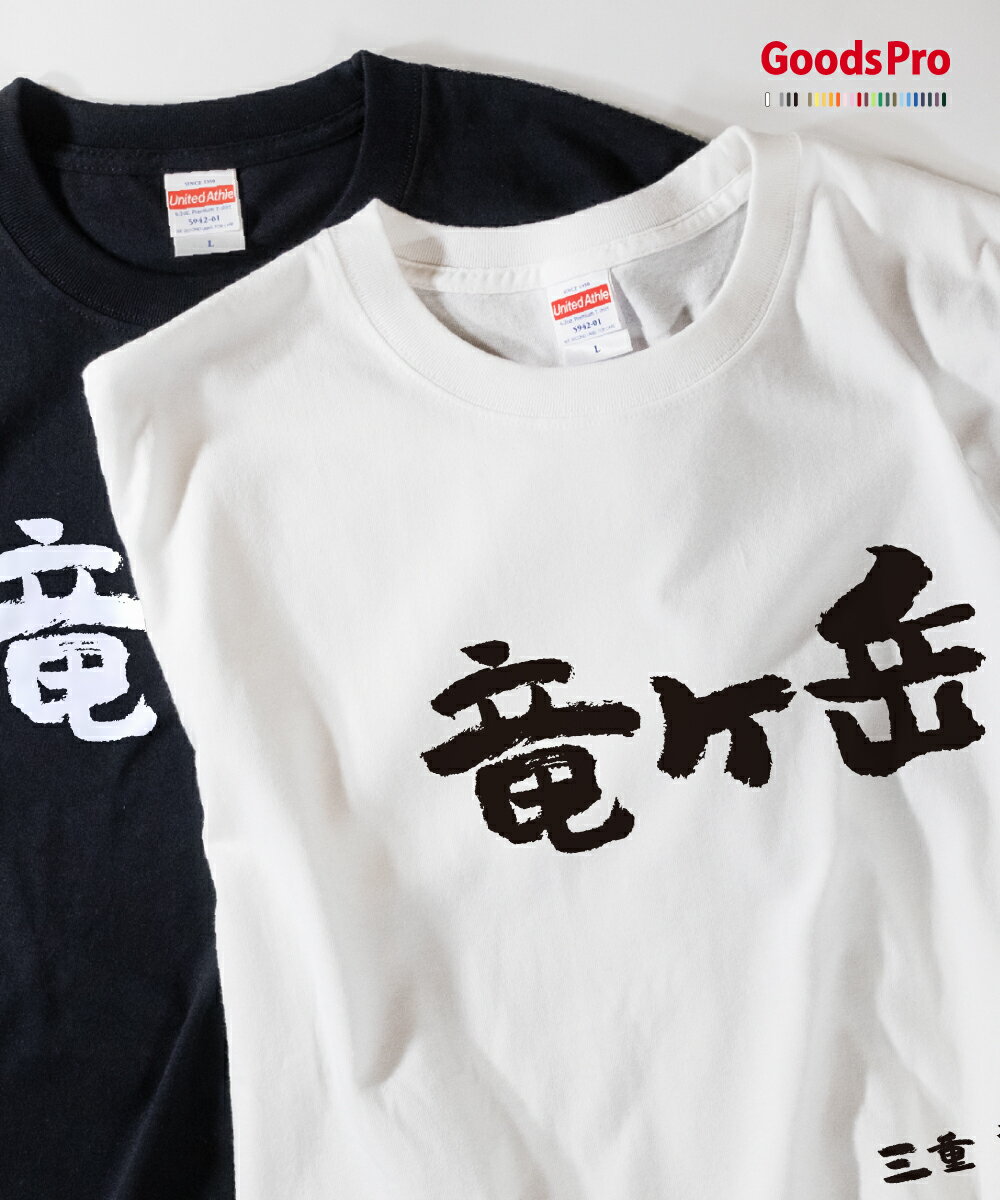 Tシャツ 竜ヶ岳・滋賀・三重 発汗性の良い快適素材 ドライTシャツ グッズプロ