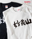 Tシャツ 妙義山 群馬 発汗性の良い快適素材 ドライTシャツ