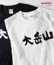 Tシャツ 大岳山・東京 発汗性の良い快適素材 ドライTシャツ