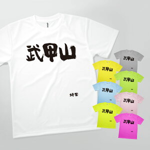 Tシャツ 武甲山・埼玉 発汗性の良い快適素材 ドライTシャツ