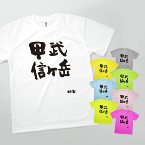 Tシャツ 甲武信ヶ岳・埼玉 発汗性の良い快適素材 ドライTシャツ