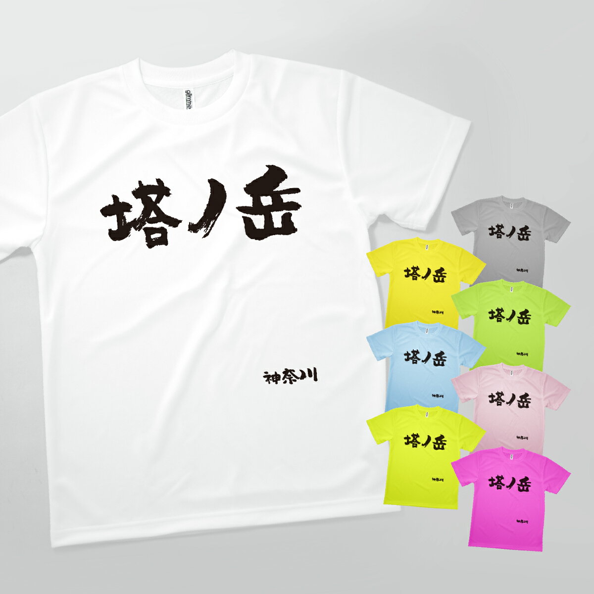 Tシャツ 塔ノ岳・神奈川 発汗性の良い快適素材 ドライTシャツ