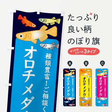 【ネコポス送料360】 のぼり旗 オロチメダカのぼり 30KT めだか