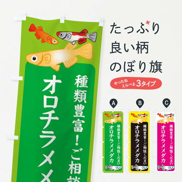 【ネコポス送料360】 のぼり旗 オロチラメメダカ・めだかのぼり 3G4F