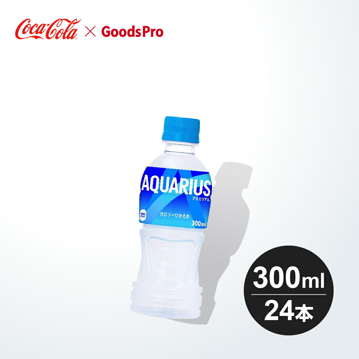 アクエリアス PET 300ml 1ケース 24本