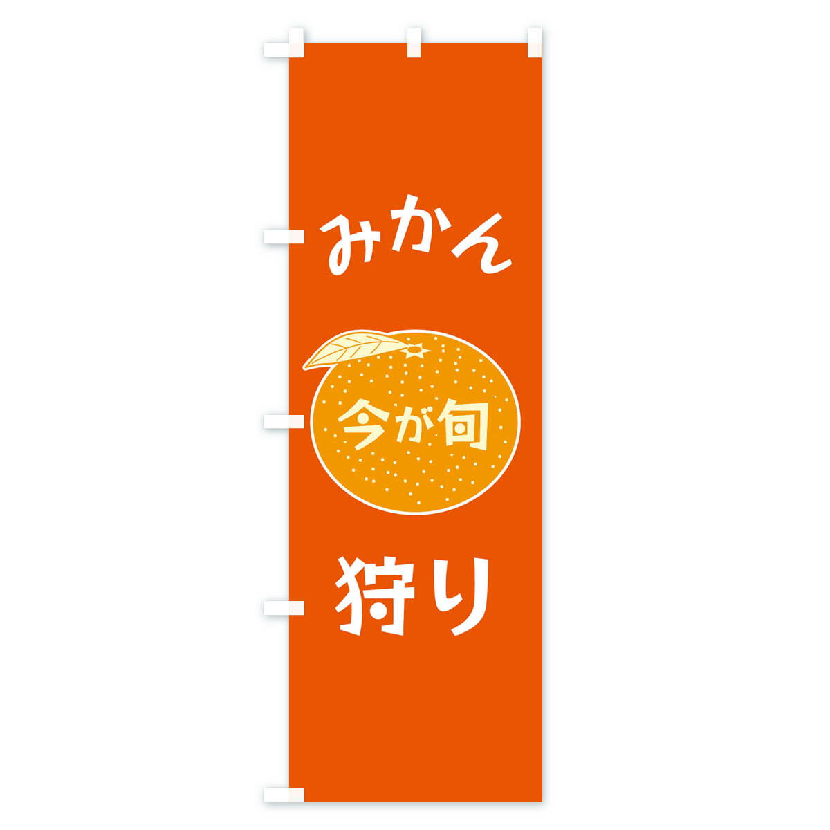 【ネコポス送料360】 のぼり旗 みかん狩りの...の紹介画像3