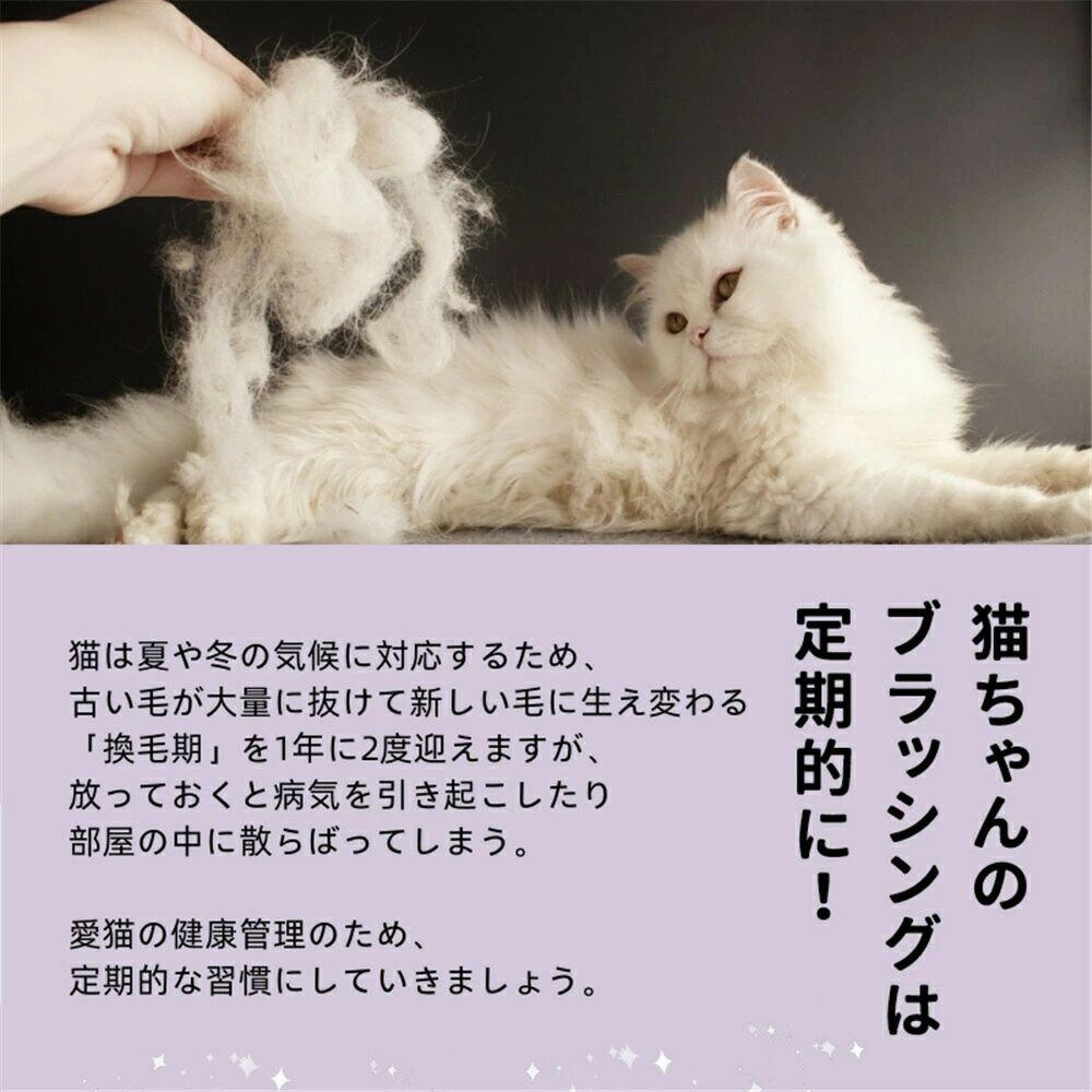 �ڥ����ѡ�DEAL10%OFF�� �ڥåȥ֥饷 �ڥå��ѥ֥饷 �ڥå����� ư�褢�� ���� ������������ û�� Ĺ�� �緿ǭ ����ǭ ȴ���� �ȥ�ߥ� L M S ǭ���� ���� ��ñ��� ���ƥ�쥹���� ��90%���� ȴ���Ӽ�� ���ץå��� ���֥饷 ǭ�֥饷 ���������� ��Ŭ ����