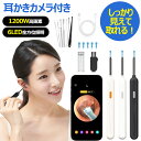 耳かき カメラ 耳かきカメラ付き ライト 左右逆転機能 極細レンズ 1000万画素 耳かきスマホ 耳掃除 イヤースコープ スコープ usb 耳掻き 内視鏡付 耳かき 子供 防水 耳垢クリーニング 耳掃除ピンセット 耳かき カメラ付き 見える耳かき 内視鏡付き 耳掻き Type-c充電式