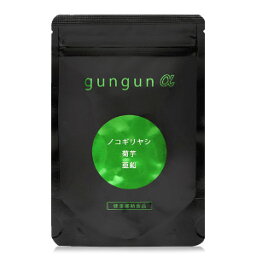 2個セット gungun α 36g(400mg×90粒)