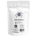 昆虫食 Zebra Tarantula タランチュラ8g