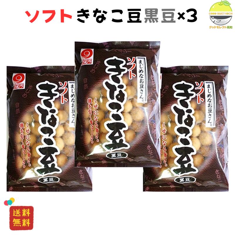 きなこ黒豆 125g×3袋セット 高知名物 昭和レトロなお菓子 手土産・お茶請けに最適 野村煎豆加工店