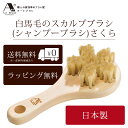 浅草アートブラシ 正規品 さくら 白 馬毛 シャンプーブラシ ヘア ブラシ 日本製 国産 Made in Japan 卒業 入学 就職 送別 退職 昇進 ギフト...