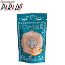 岩塩 パハール岩塩 100g (粗挽き)ミル用