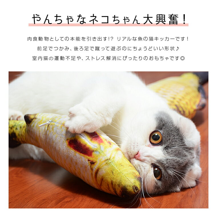 ペット用 猫 ネコ にゃんこ にゃん　猫のおもちゃ またたび リアル アニマル 魚　フィッシュ 鯉 フナ 金魚 マタタビ キッカー ぬいぐるみ 抱き枕 枕 猫キック 可愛い 安い 8H48 SALE