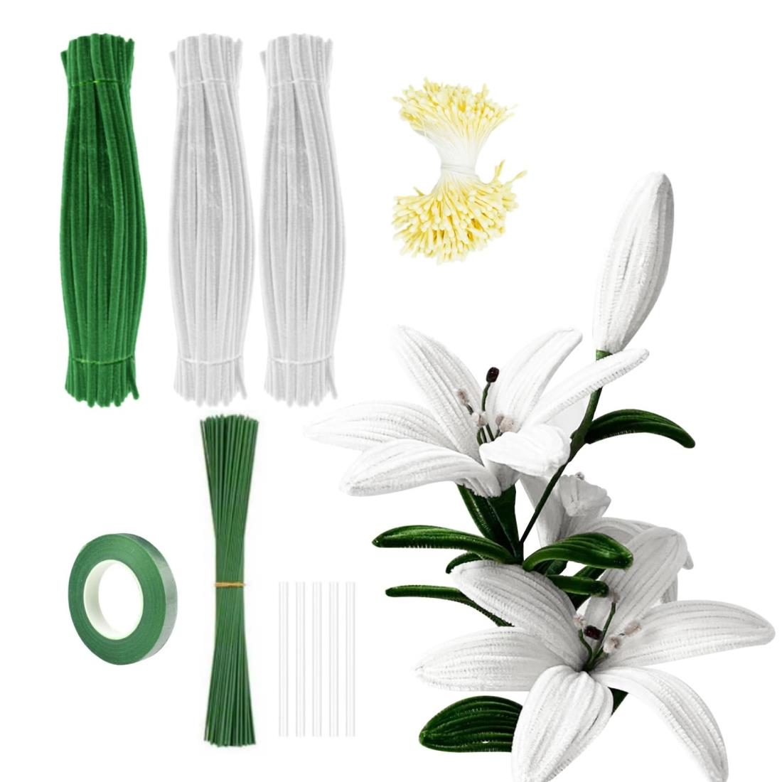 seimeinoki ݥ⡼ 򿧡200ܡп100  ¤ « ե ꥭå  ⡼륢 磻䡼 Ǻ ⡼...